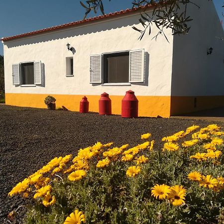 Monte Quinta Verde Guest House Ferreira Do Alentejo Exterior photo