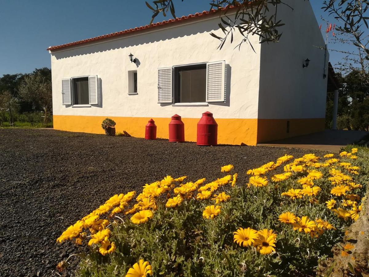 Monte Quinta Verde Guest House Ferreira Do Alentejo Exterior photo